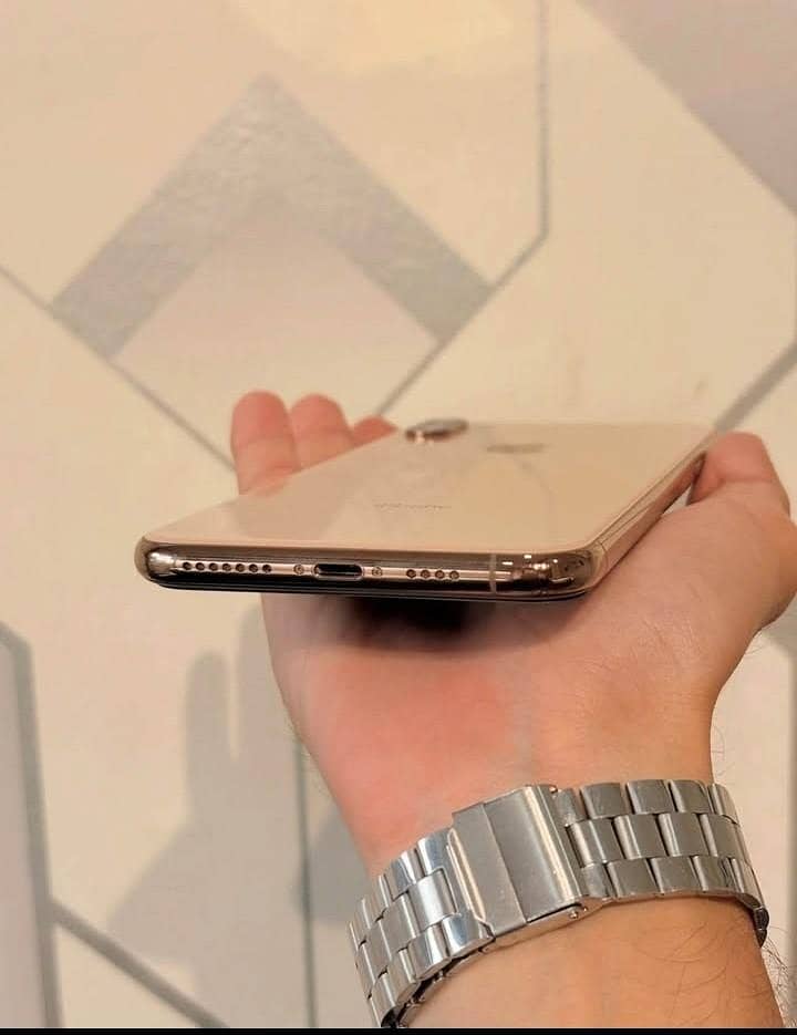 Apple iPhone X s max 0