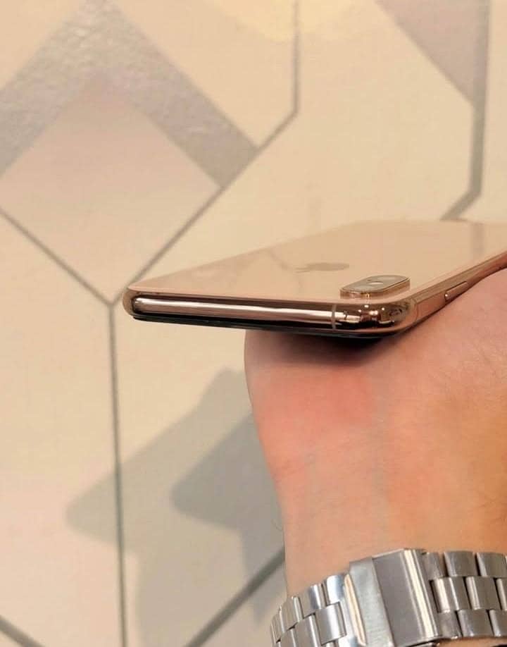 Apple iPhone X s max 1