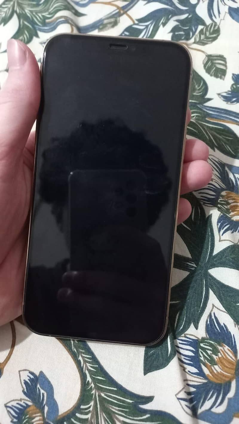 Apple iPhone 12 Pro 1