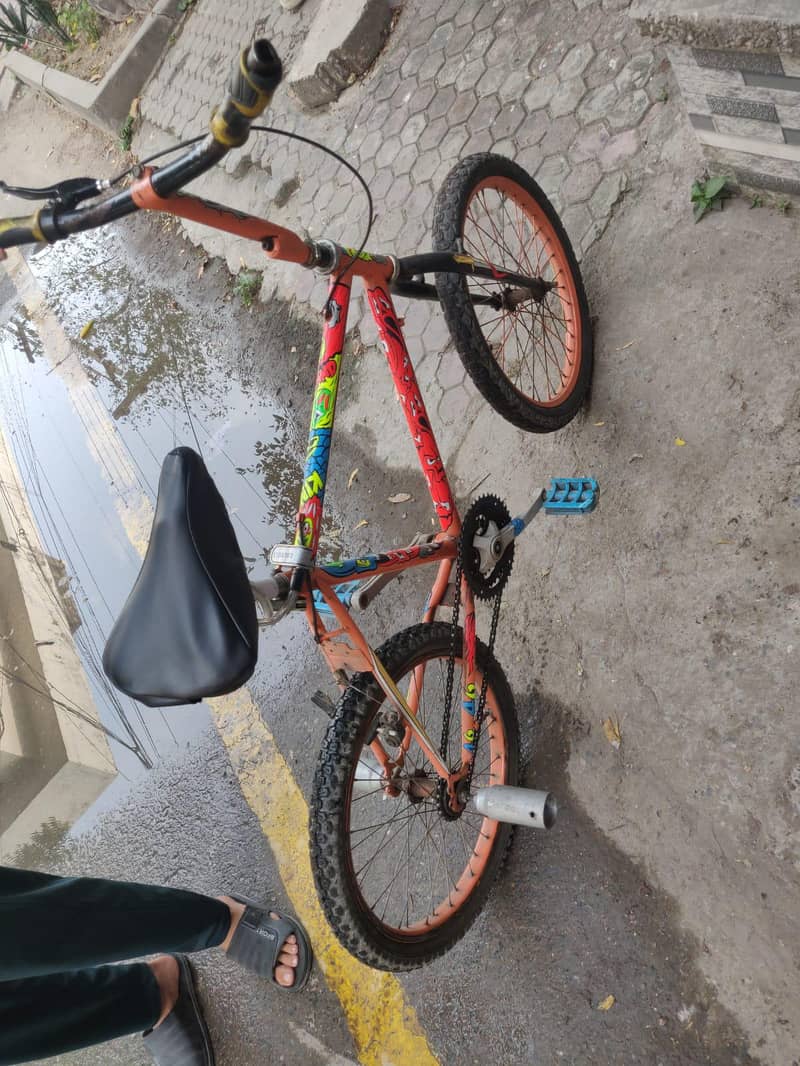 Wheeling Bicycle 1