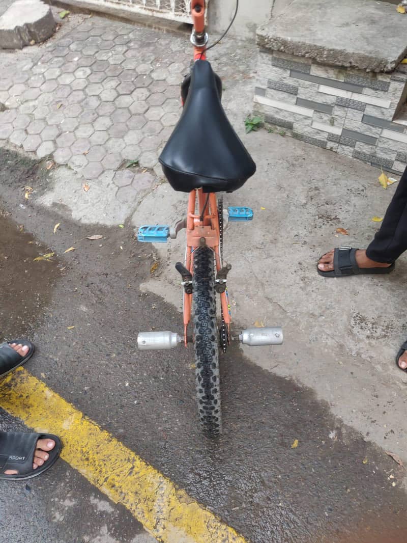 Wheeling Bicycle 2