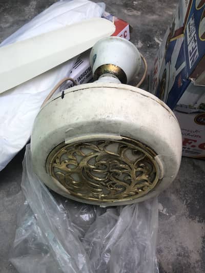 Electric Fan just 1 season used