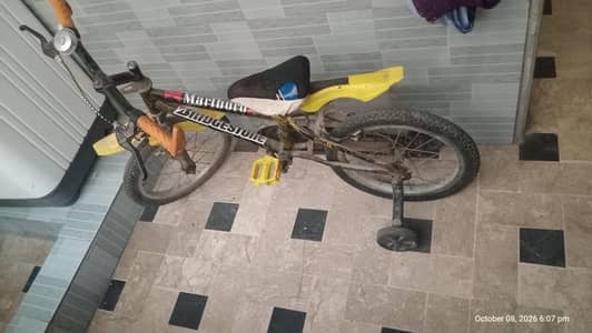 Kids Cycle 5-8 Years