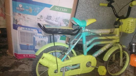 new cycle
