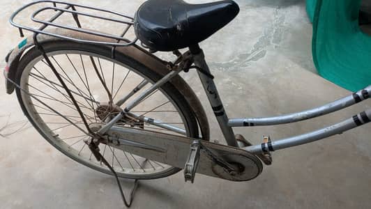 Japanies Cycle
