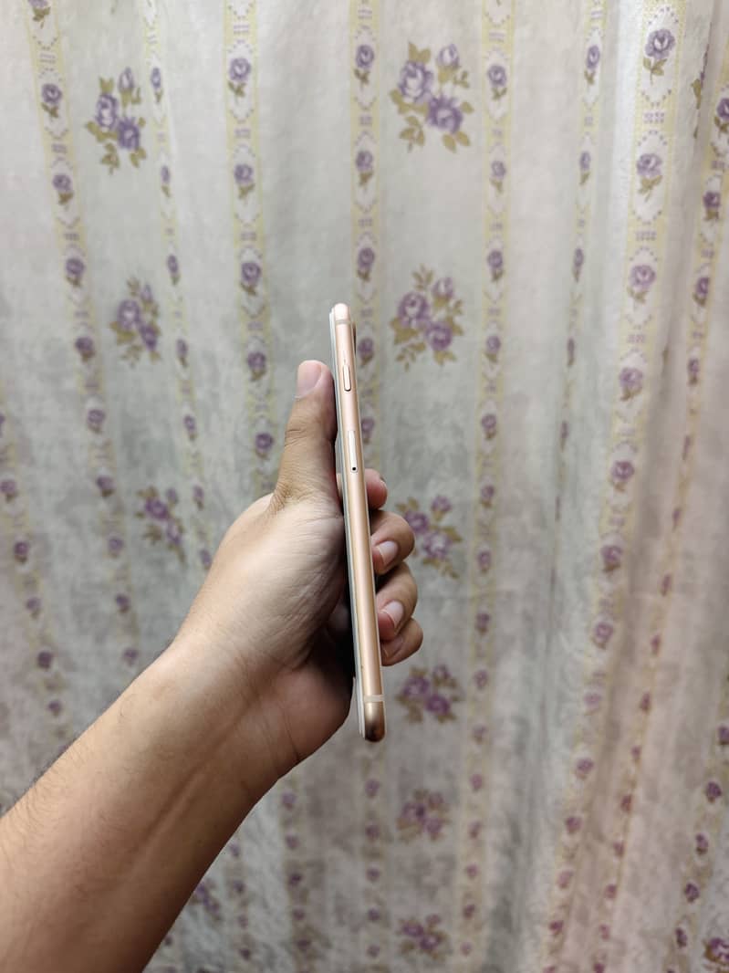 Apple iPhone 8 Plus 4