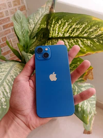iphone 13 - 128GB