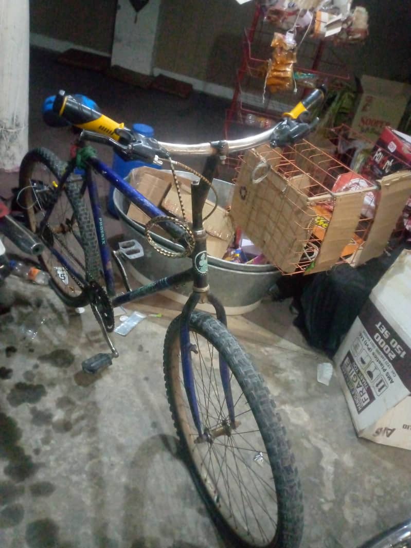 phonics bicycle 0