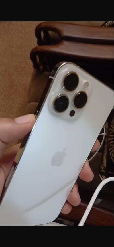 Apple iPhone 13 Pro Max