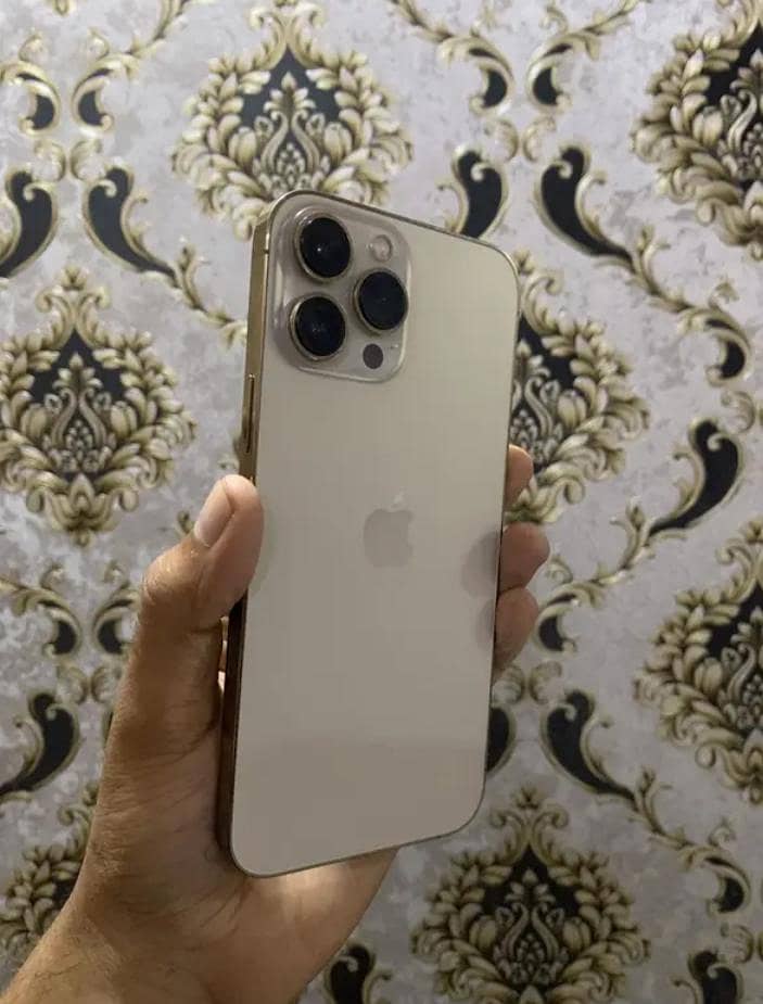 Apple iPhone 13 Pro Max 0