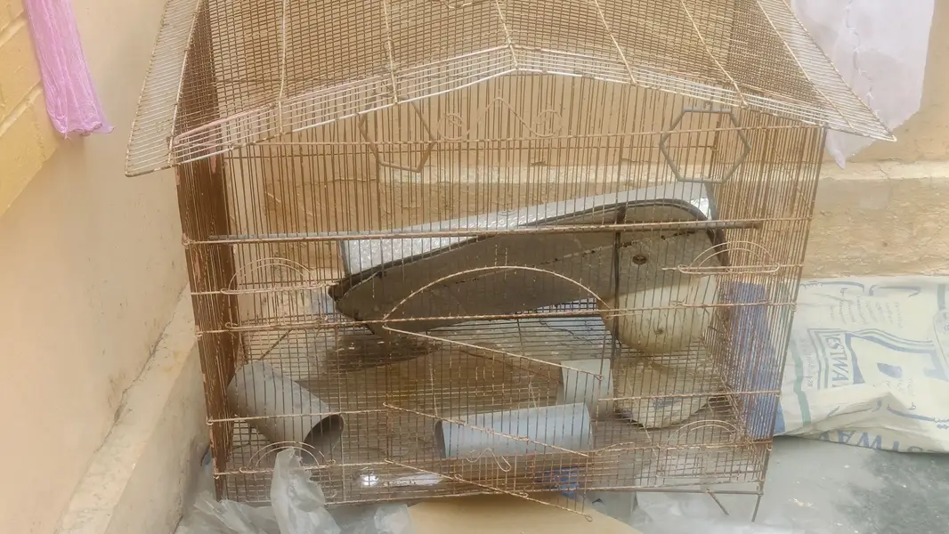 2 Big Size Parrot Cage — photo 2