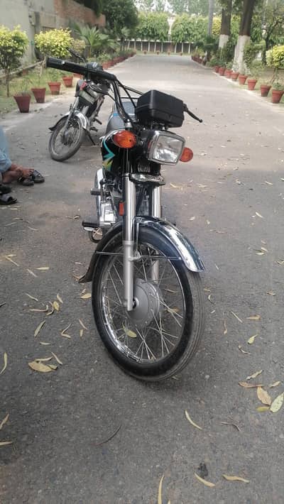 New condition Totle janune