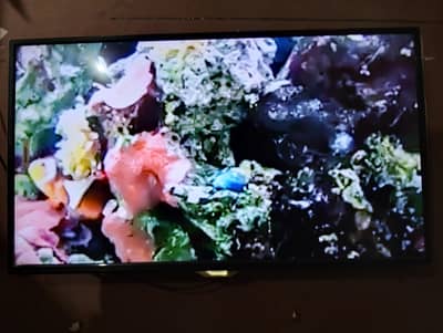 Android led 44 inch