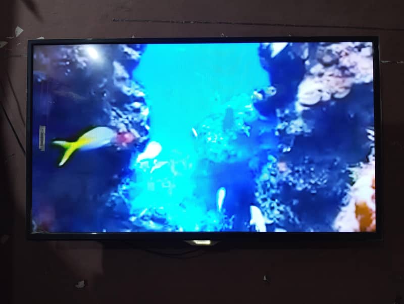 Android led 44 inch 1