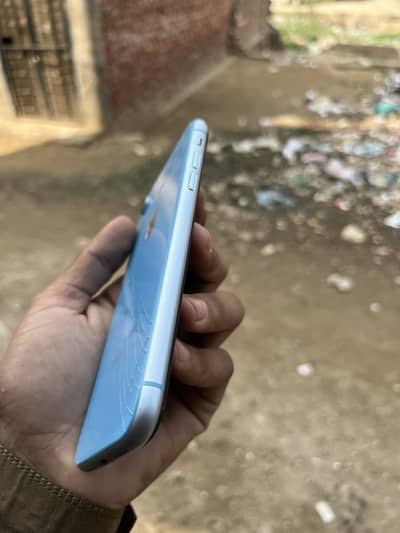 iPhone XR