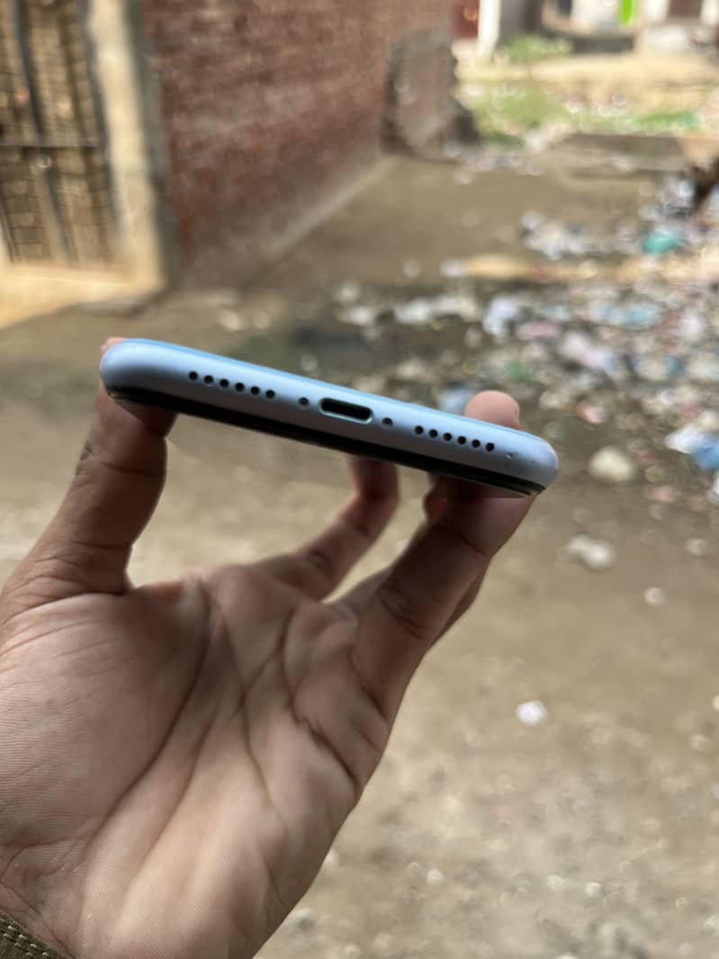 iPhone XR 6