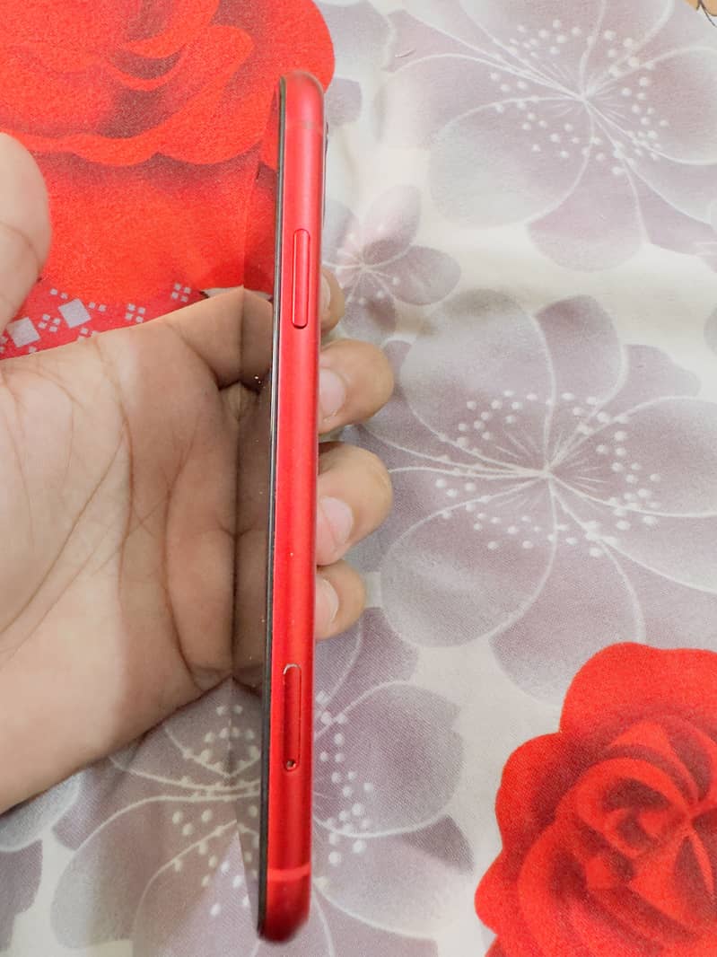 Apple iPhone 11 4