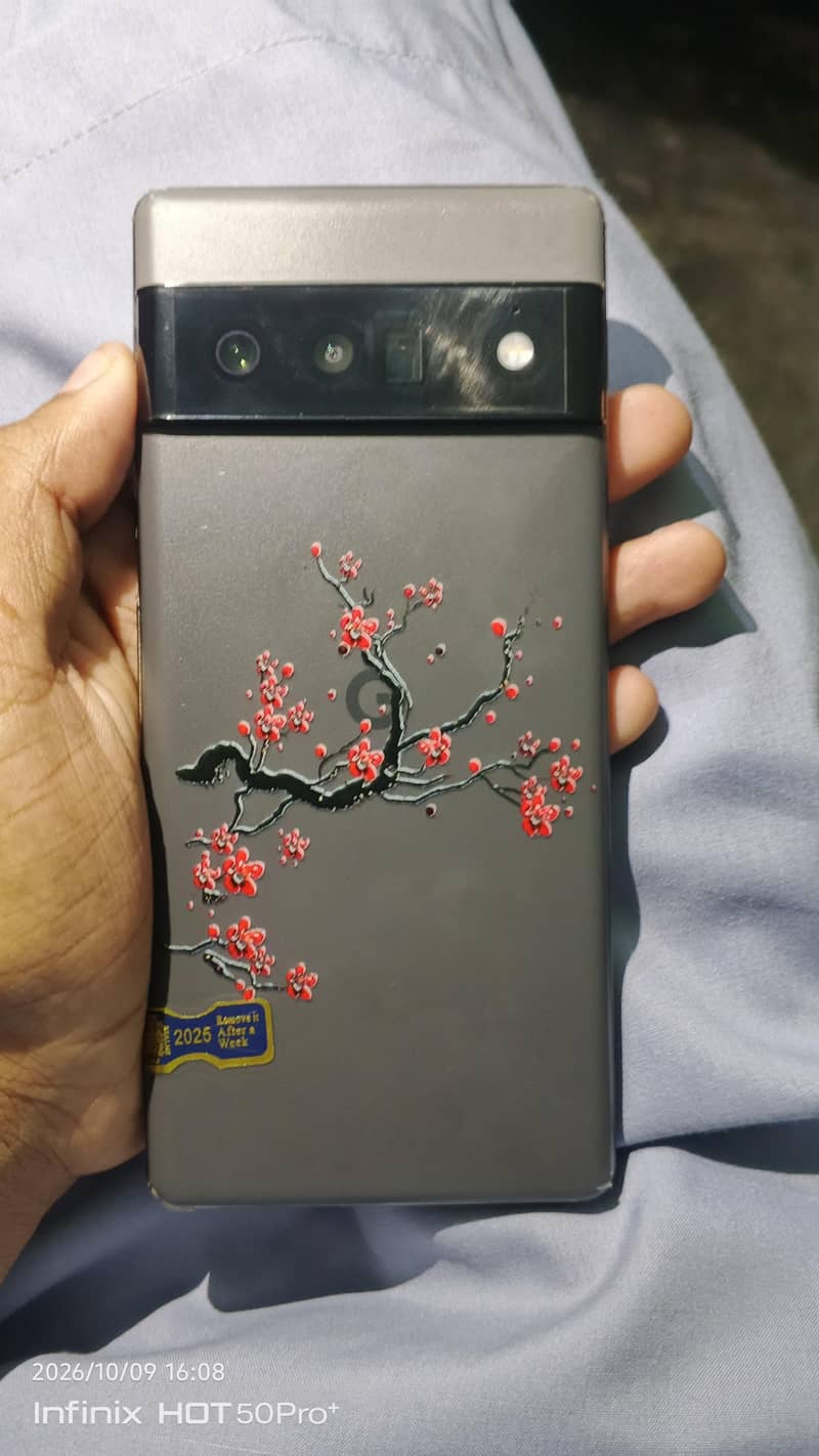 Google Pixel 6 Pro 3