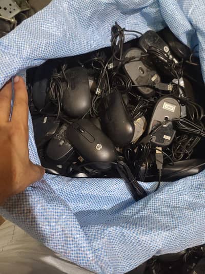 Computer Mouse