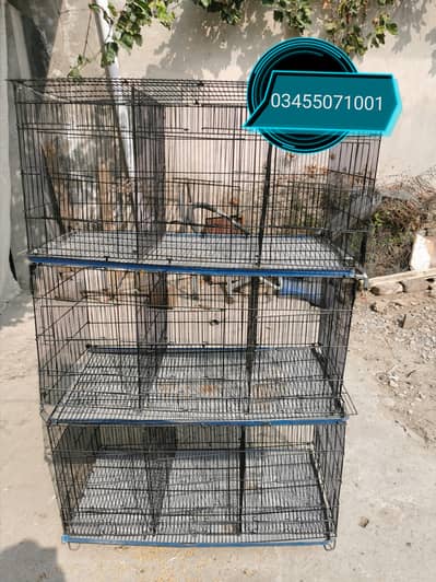 9 portion cage and astrolorp males