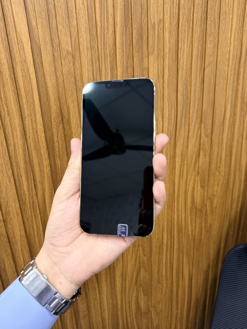 Apple iPhone 13 Pro Max 3