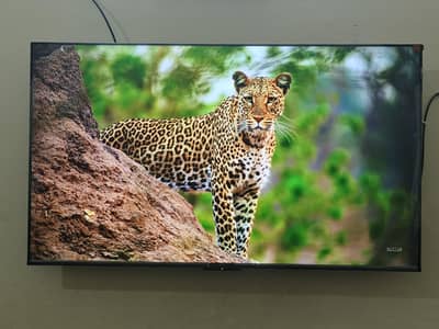 TCL 50P79L 50 Inches 4K Smart Google LED TV