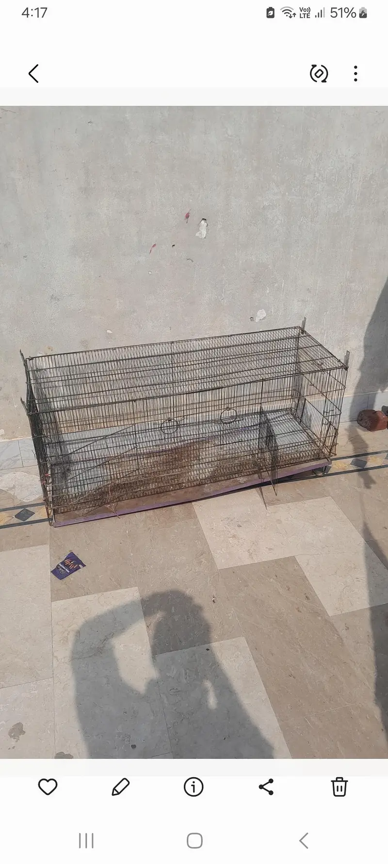 Cage , cocktail  , exibition, green pineapple conure breeder pairs — photo 2