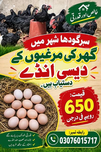 دیسی انڈے دستیاب ہیں