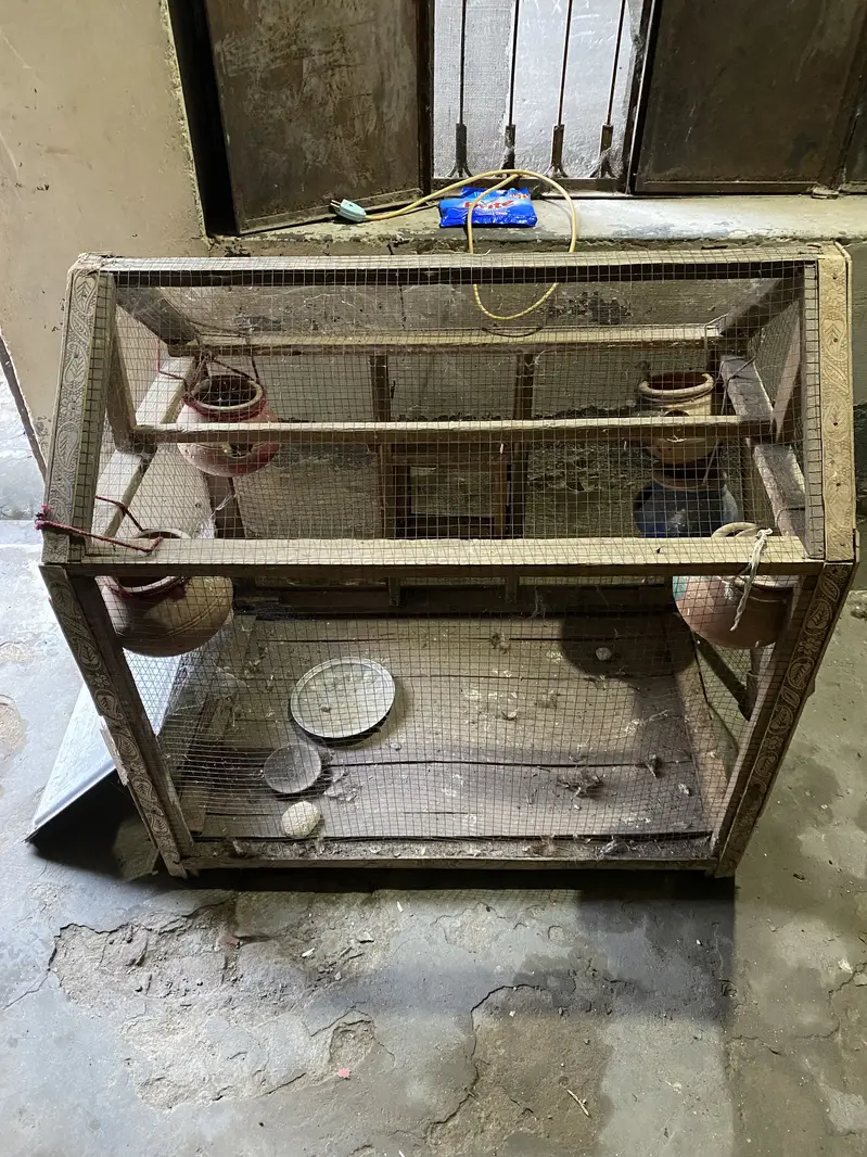 Parrot Cage for sale — photo 2