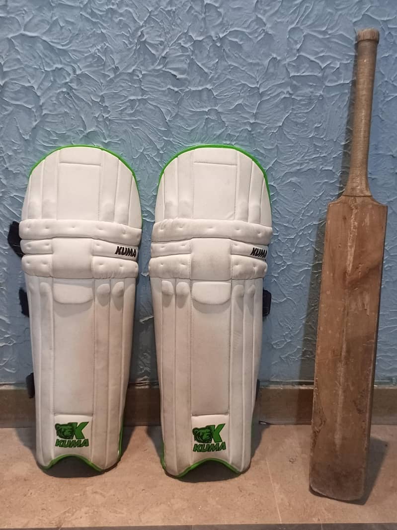 Cricket kit 1