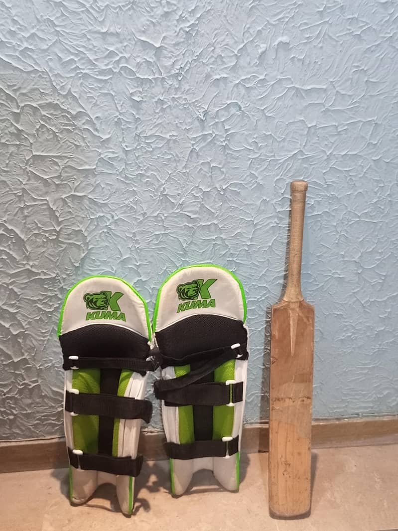 Cricket kit 2