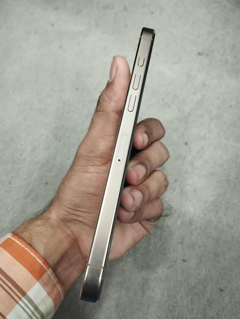 Apple iPhone 16 Pro Max 1