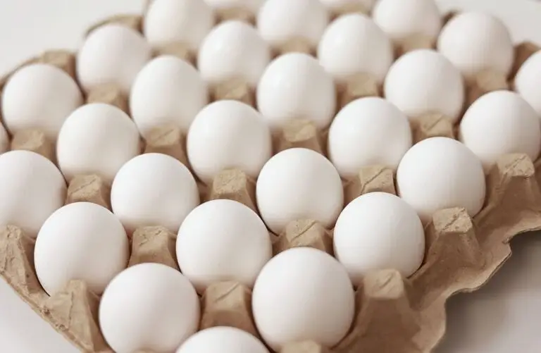 golden misri / layer / white layer / eggs laying hens / eggs /desi egg — photo 11