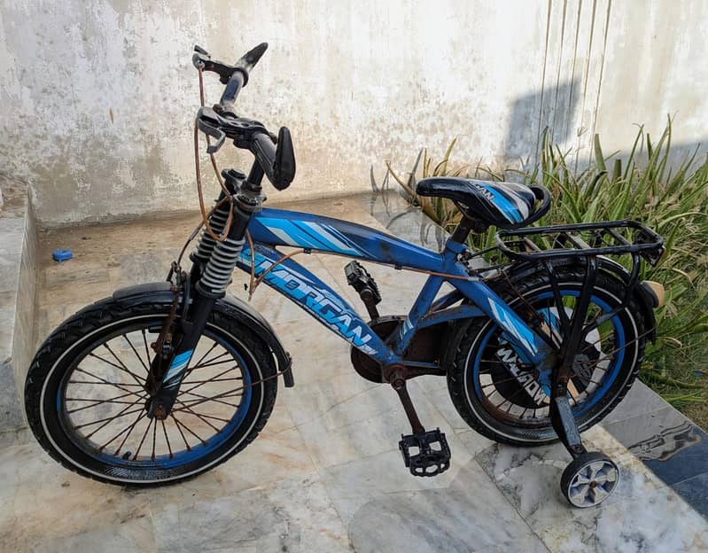 Cycle 0