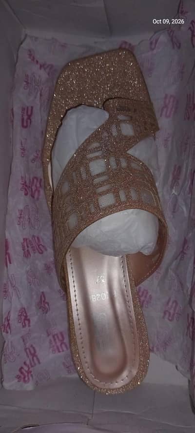 Stylo Fancy Shimmer Flat Sandals/Slippers