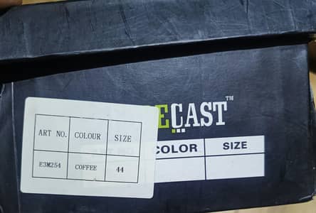 Forecast Brand Original Shoes