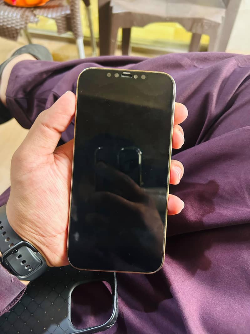 Apple iPhone 12 Pro Max 1