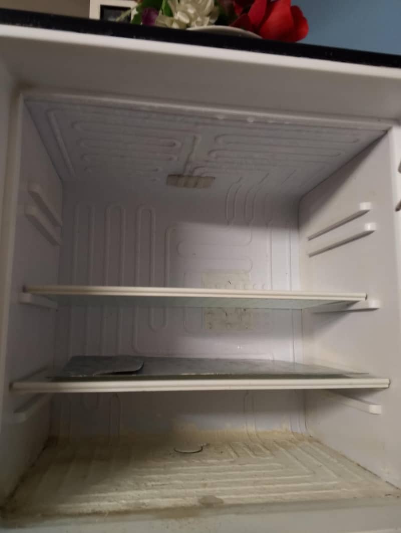 Waves Refrigerator 1