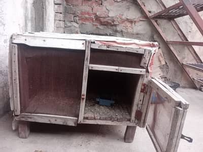 hens cage