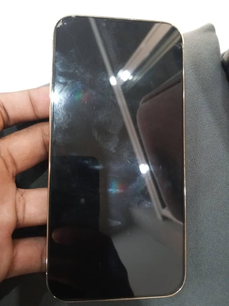 Apple iPhone 13 Pro Max 1