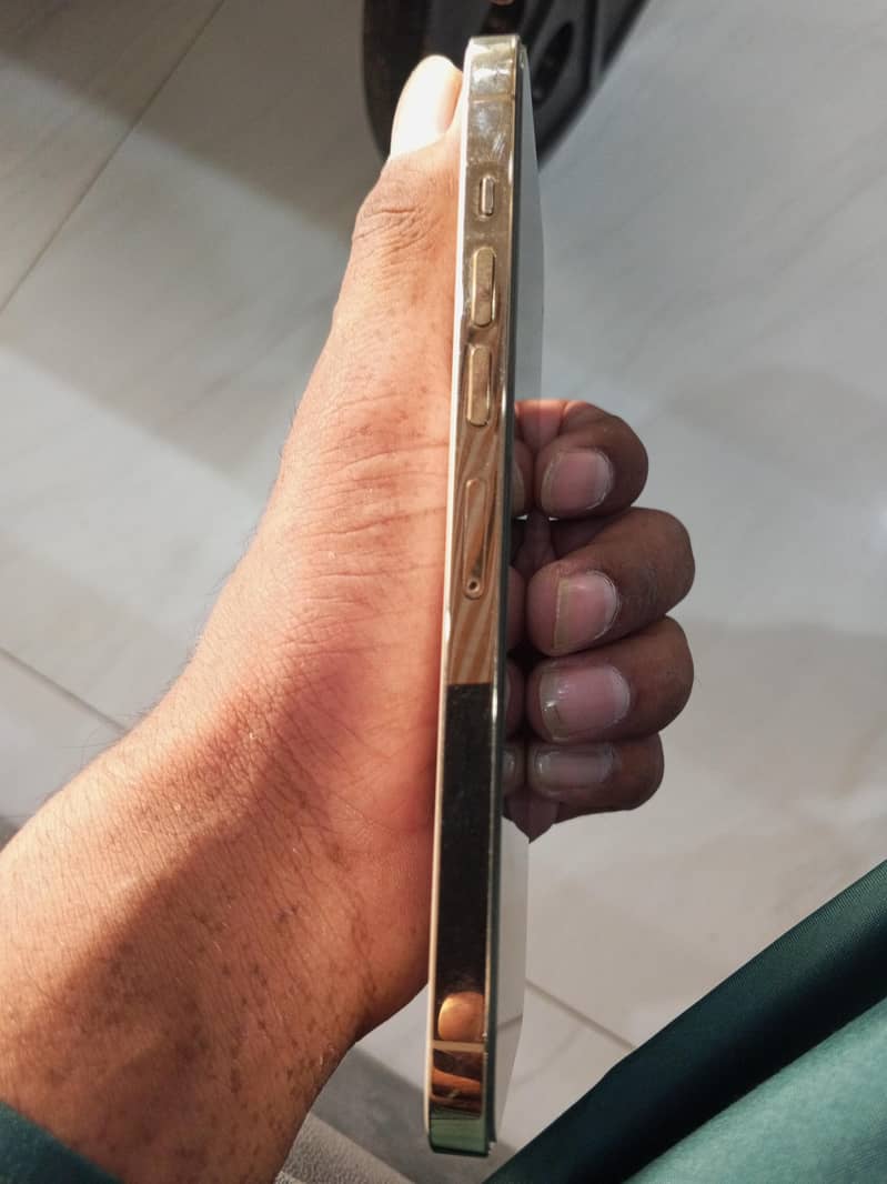 Apple iPhone 13 Pro Max 5