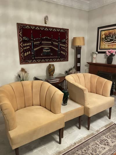 2 seater sofa set with coffee table
