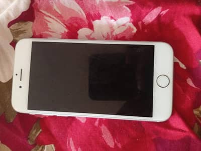 Apple iPhone 6