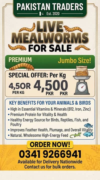 Live mealworm