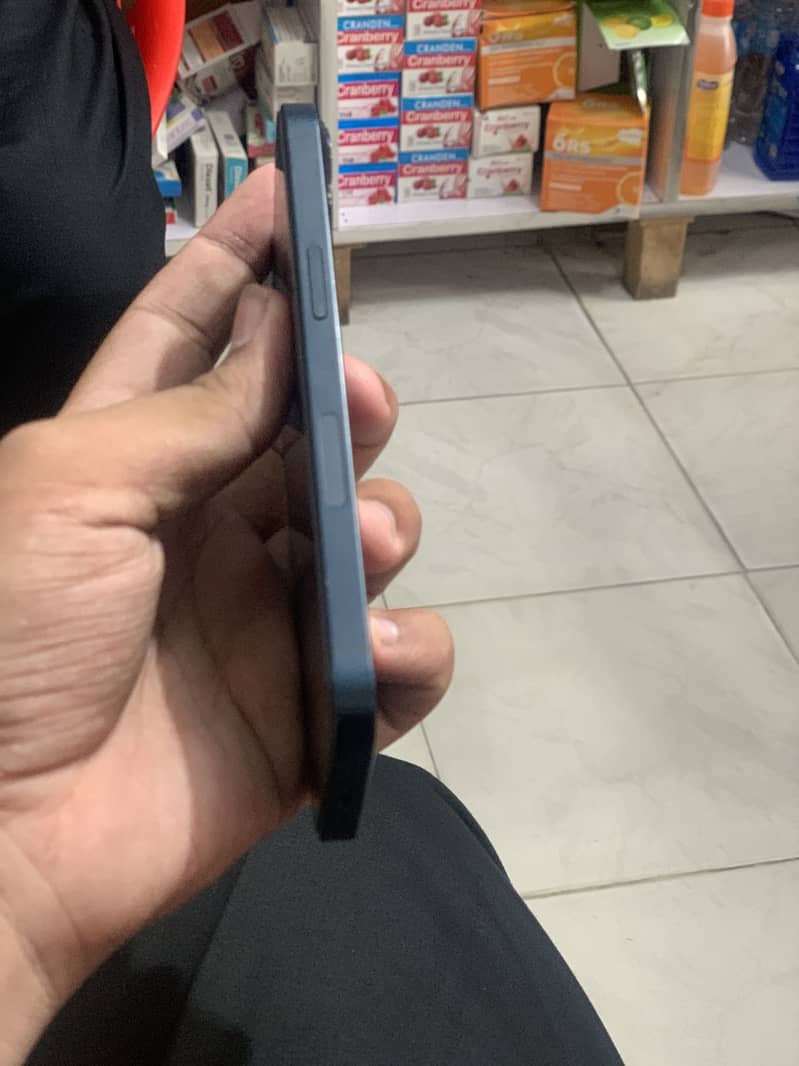 Apple iPhone 13 0