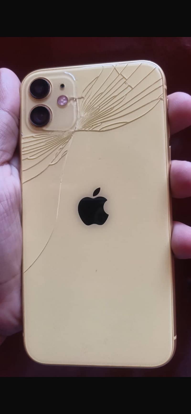 Apple iPhone 11 1