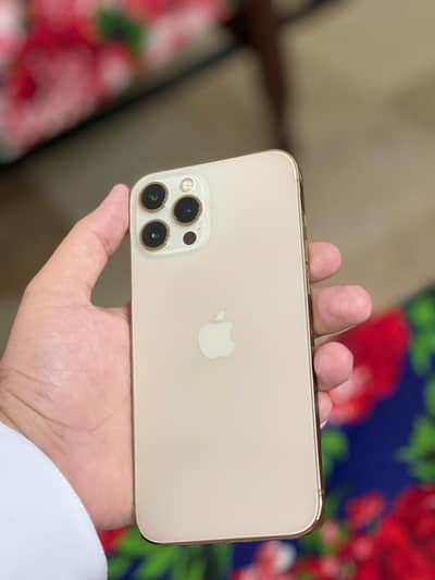 Apple iPhone 12 Pro Max
