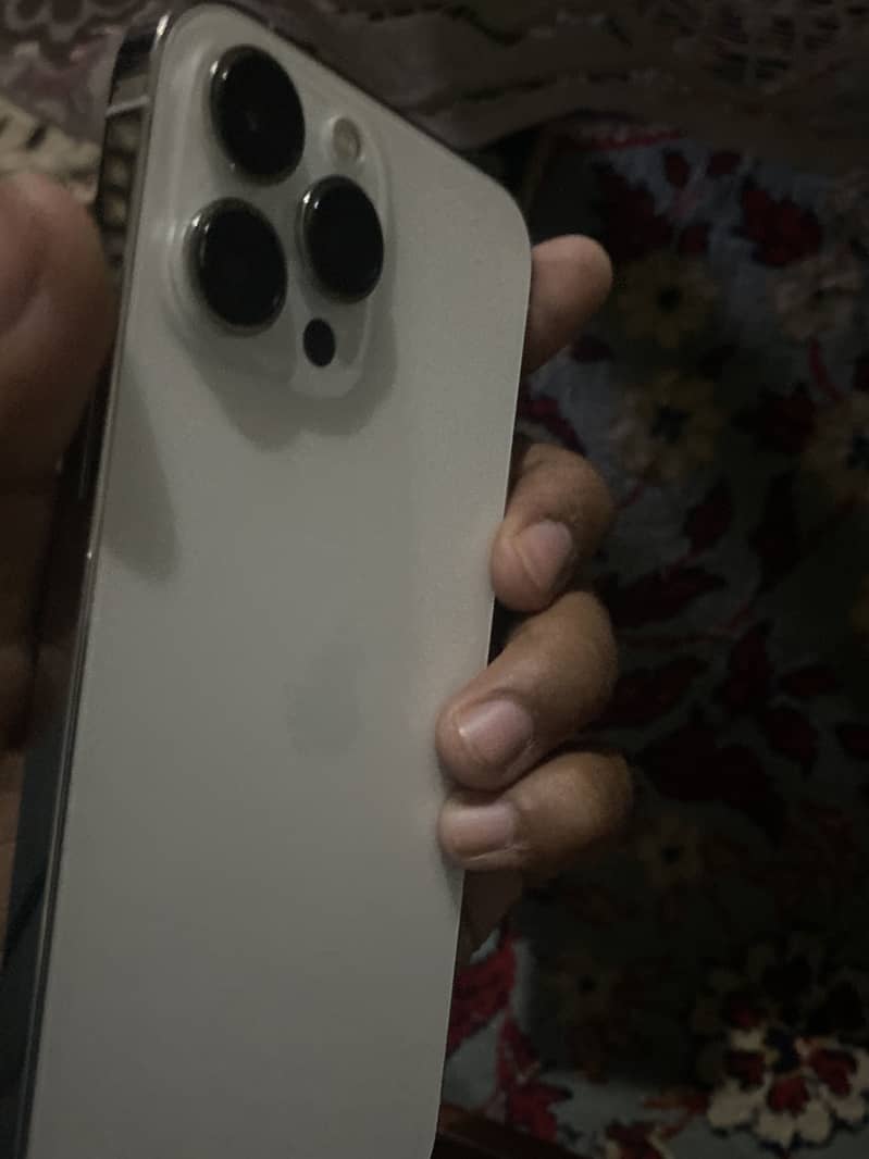 Apple iPhone 13 Pro Max 1