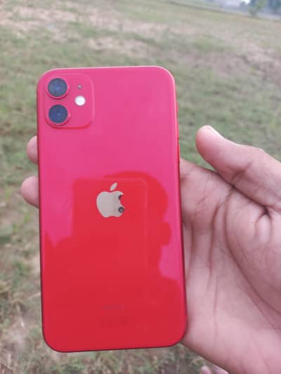 Apple iPhone 11