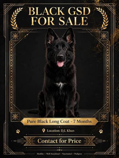 dog for sale